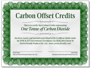 What is a carbon credit? - OurOffset